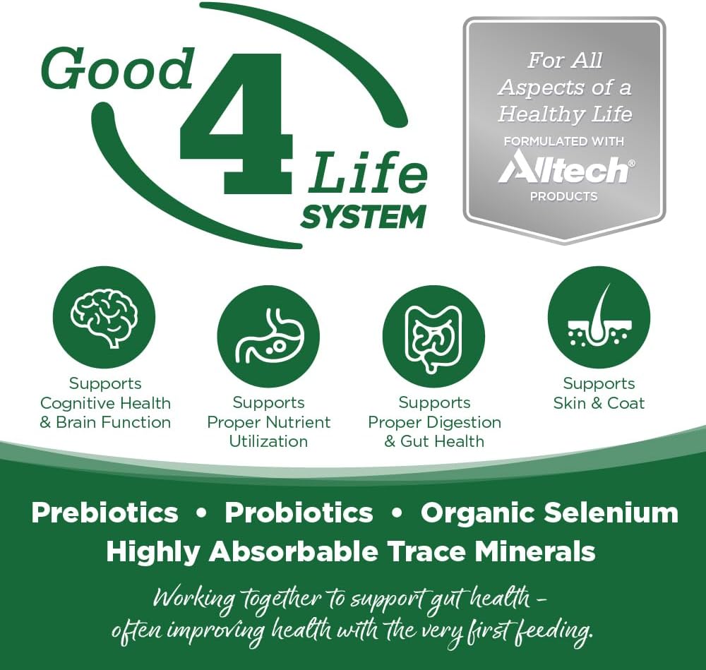 NutriSource Turkey & Rice Recipe Dog Food, Premium Wet Dog Food, 12.3 Ounce (Pack of 12)