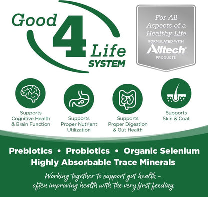 NutriSource Turkey & Rice Recipe Dog Food, Premium Wet Dog Food, 12.3 Ounce (Pack of 12)