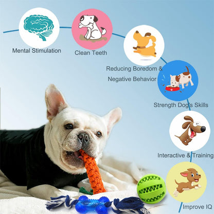 Beiker Dog Teething Chew Toys - 15 Pack Small Medium Breed Puppy Toy, Variety Dogs Rope Chew Toys Bundle for Boredom, Pet Interactive Squeaky Treat Dispensing Ball for Puppies