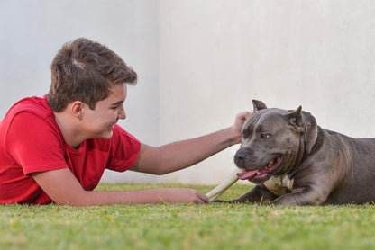 Cowdog Chews Retriever Roll 9-10 inch All Natural Rawhide Dog Treat (10 Pack)