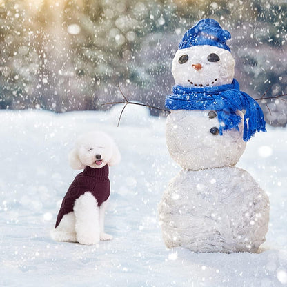 BINGPET Thermal Knitted Dog Sweater for Small Medium Large Dogs,Winter Dog Cat Coat Warm Sweartershirts Outfits,Classic Cable Knit Turtleneck Pullover Dog Jumper Coat Warm Sweartershirts