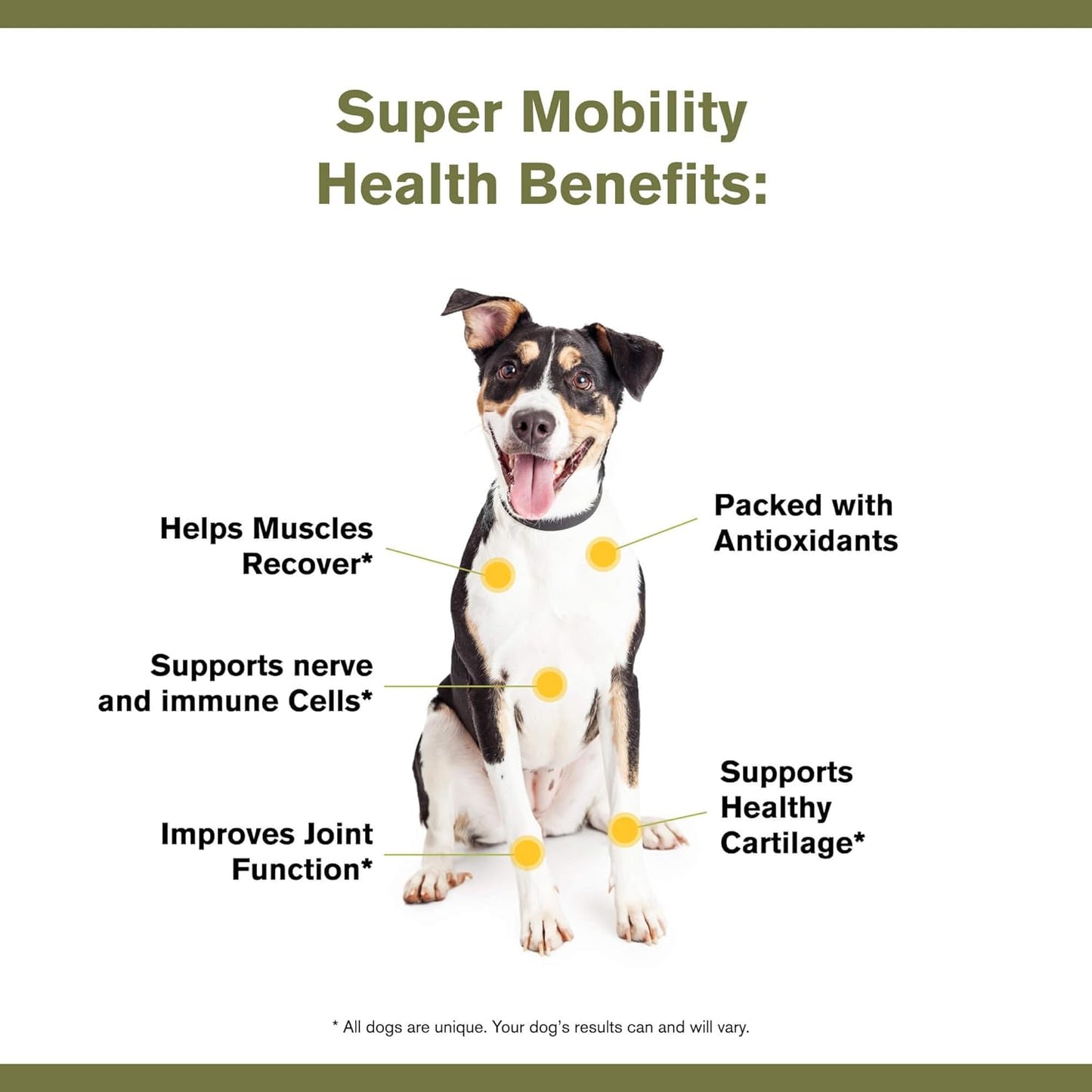 Badlands Ranch by Katherine Heigl- Super Mobility Canine Supplement Organic Ingredients Helps Maintain Healthy Cartilage, Optimal Joint Function (90 Grams, 30 Scoops)