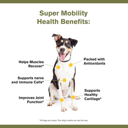 Badlands Ranch by Katherine Heigl- Super Mobility Canine Supplement Organic Ingredients Helps Maintain Healthy Cartilage, Optimal Joint Function (90 Grams, 30 Scoops)