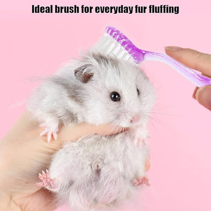 2 Pack Hamster Brush, Guinea Pig Massage Combs, Hedgehog Cleaning Supplies - Purple