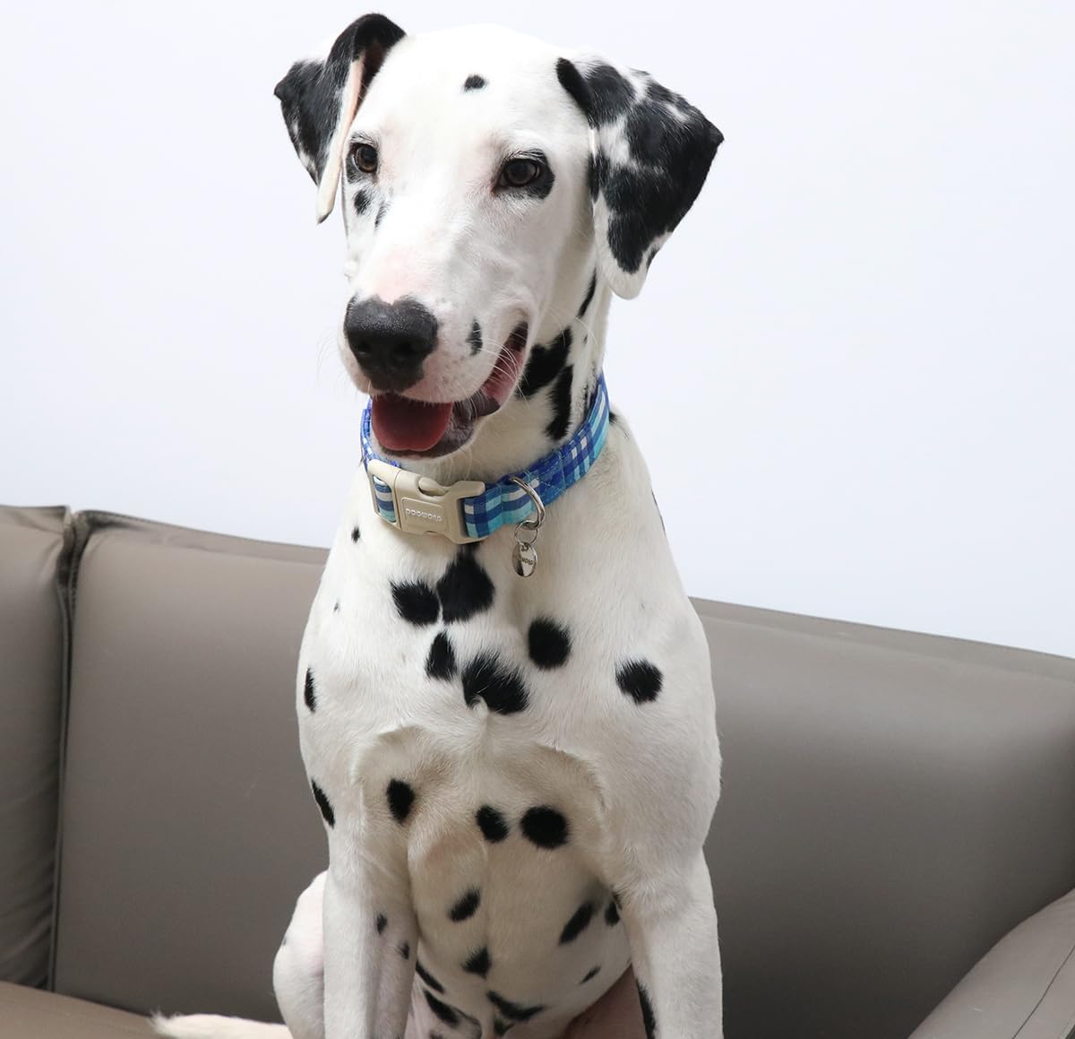 DOGWONG Cotton Dog Collar, Blue Plaid Heavy-Duty Dog Collar Durable Soft Boy Dog Collar Cute Wedding Puppy Necklace for Small Medium Large Dog