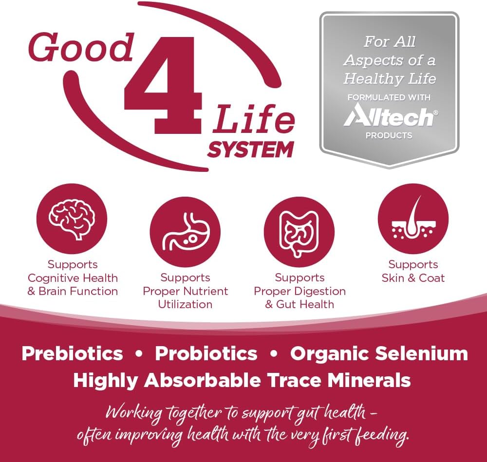 NutriSource Chicken, Lamb & Ocean Fish Recipe Dog Food, Premium Wet Dog Food, 12.3 Ounce (Pack of 12)