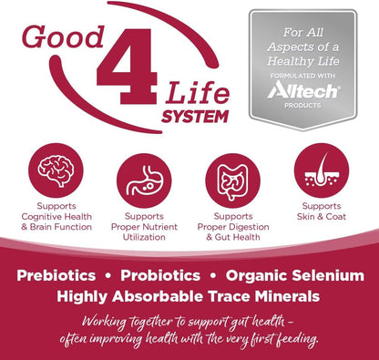 NutriSource Chicken, Lamb & Ocean Fish Recipe Dog Food, Premium Wet Dog Food, 12.3 Ounce (Pack of 12)