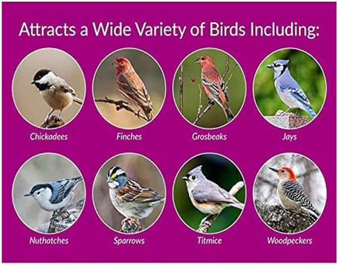 Desert Valley Sunflower Hearts and Chips Seed, All Natural, Non-GMO Premium Wild Bird and Wildlife Food (5 Pounds)