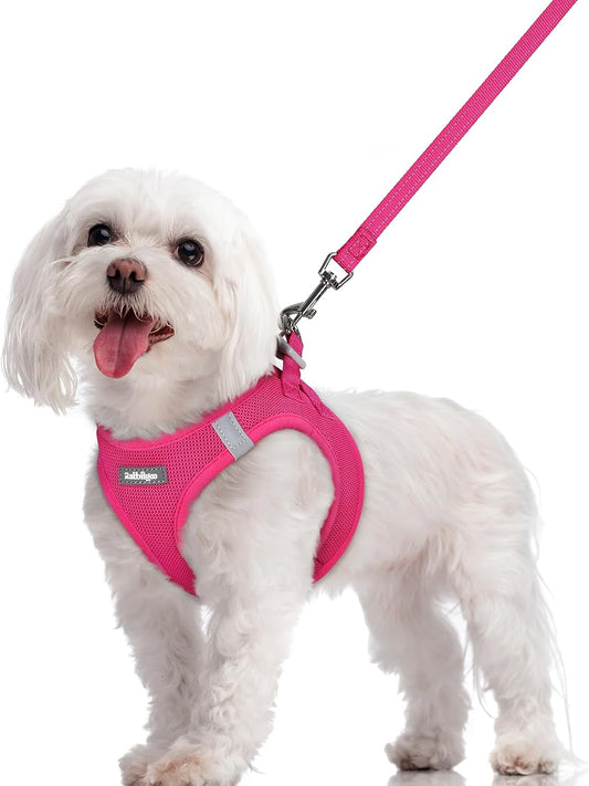rabbitgoo Dog Harness Small Sized and Leash Set, Step in Soft Light Puppy Vest, Breathable Mesh Pet Harness, Reflective for Safe Easy Walking, Rose Red M