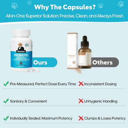 Probiotics for Dogs, Dog Probiotics with Digestive Enzymes with and Prebiotics for Support Gut & Digestion Health, Immune Support, Reduce Diarrhea, 120 Capsules