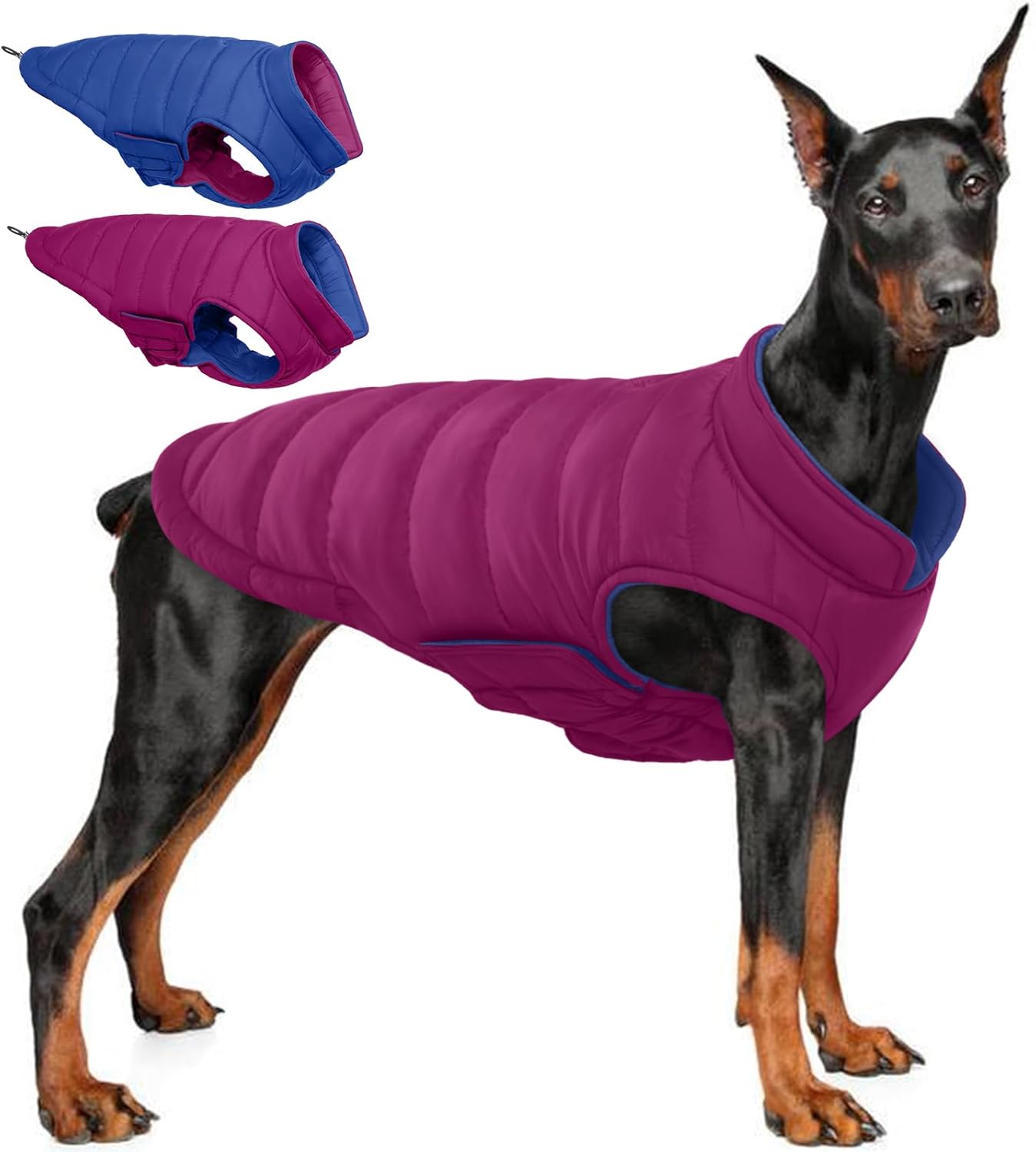 QBLEEV Reversible Dog Coat for Large Dogs, Waterproof Windproof Winter Jacket Keeps Big Breeds Warm & Dry, Adjustable Hook & Loop Puffer Vest, Purple, 3XL – Fits Labrador, Weimaraner, Great Dane
