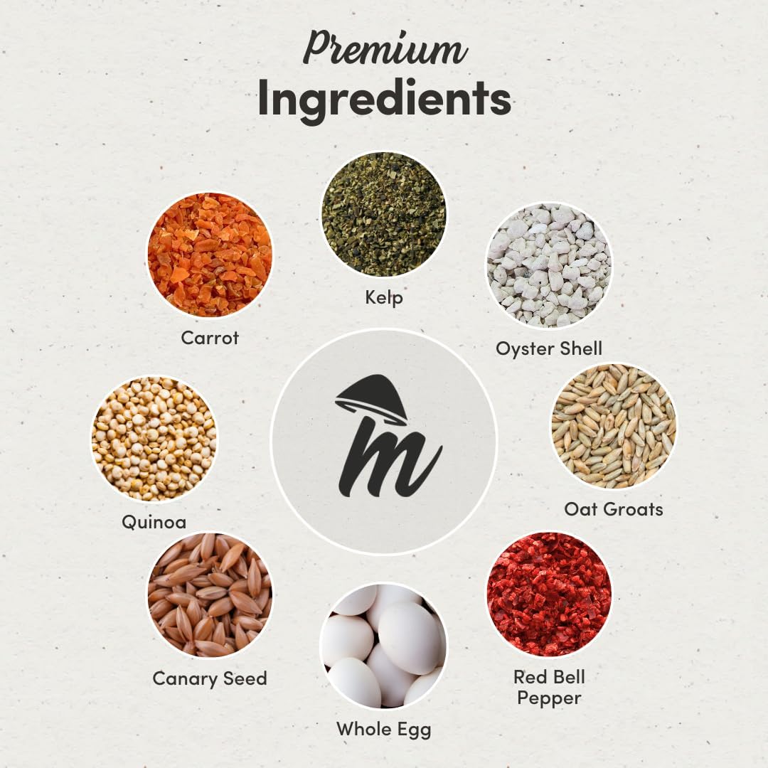 Mycelium Parakeet Cuisine Bird Food (5 LB Bag) | Organic, Nutritious Parakeet Feed with Real Fruits, Veggies & Vitamins | Supports Digestion & Daily Energy | Non-GMO, Filler-Free, Made in USA