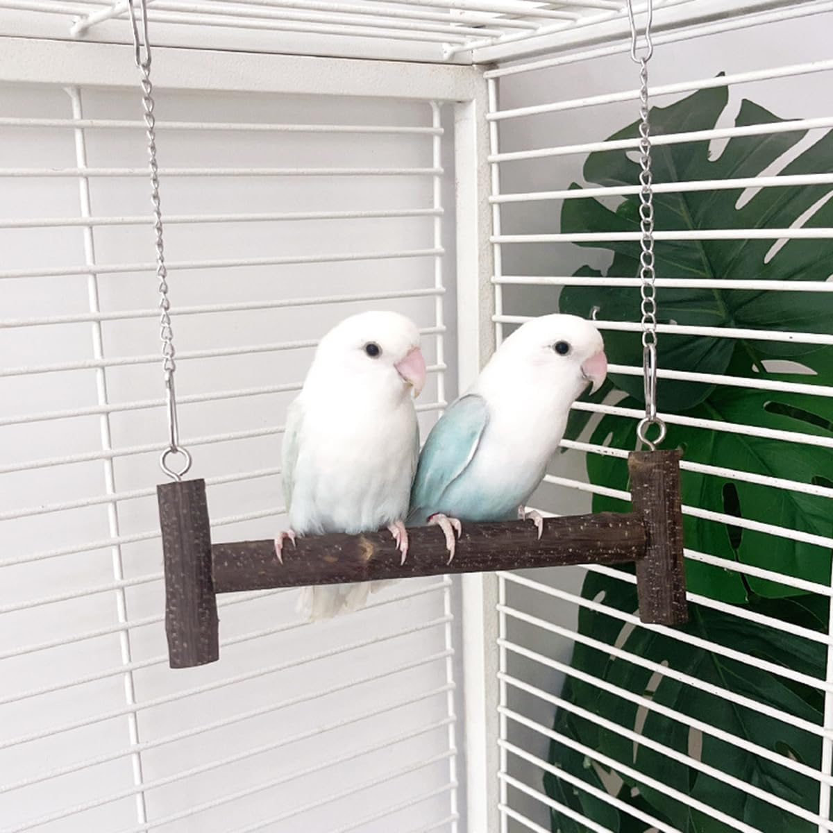 Natural Wood Parakeet Swing Toy, Cockatiel, Lovebird, Budgie Wooden Perch Stand, Small and Medium Bird Cage Accessories (Small)