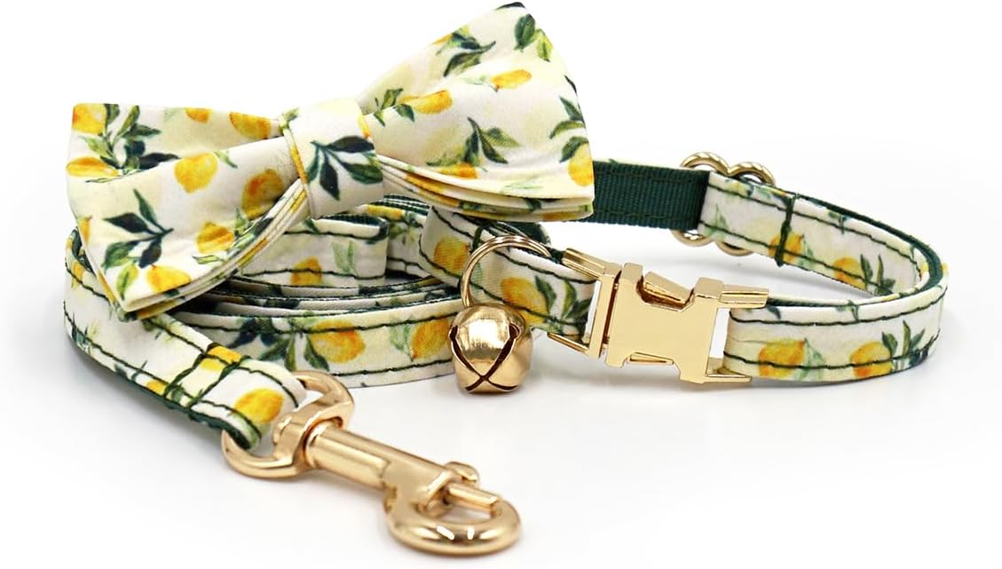 Personalized Cat Collar with Engraved Name Phone Number for Boy and Girl Kittens (Fruit)