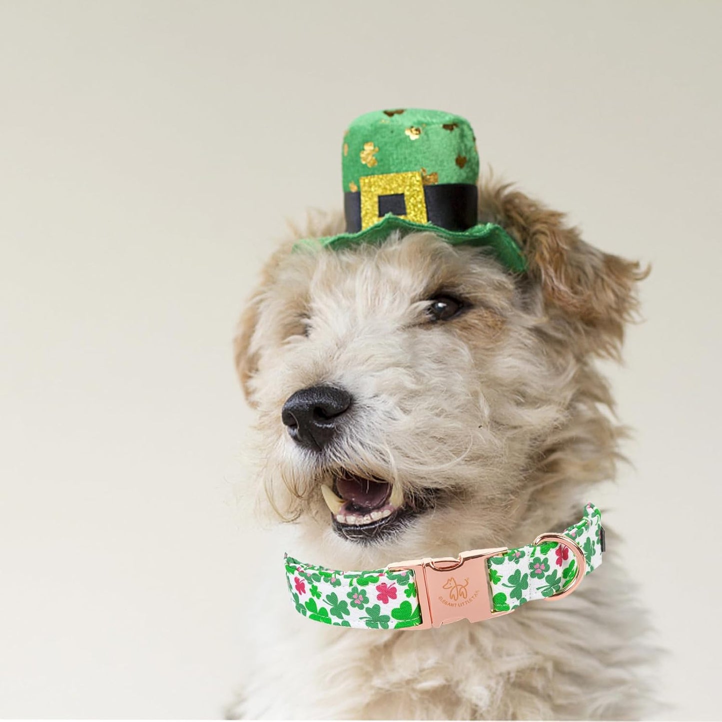 Elegant little tail St Patrick's Dog Collar, Green Clover Pet Collar Cotton Holiday Pet Collar Cute Puppy Collar Adjustable Pet Dog Collars for Medium Dogs