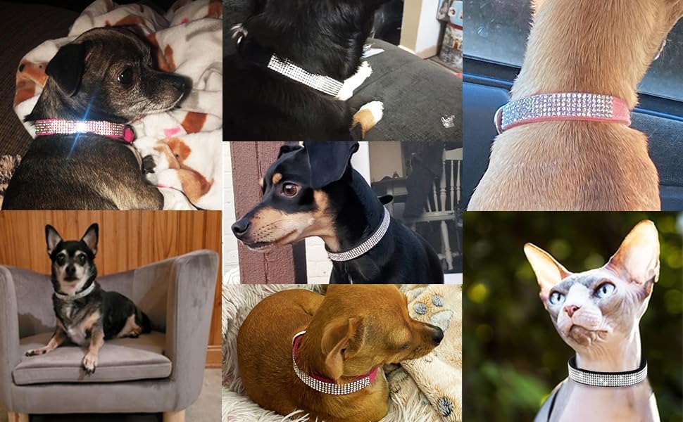 Serijoars Small Dog Collar with Rhinestone Crystal Diamond Colorful Bling Girl Puppy Cat Collars (XS, Pink)