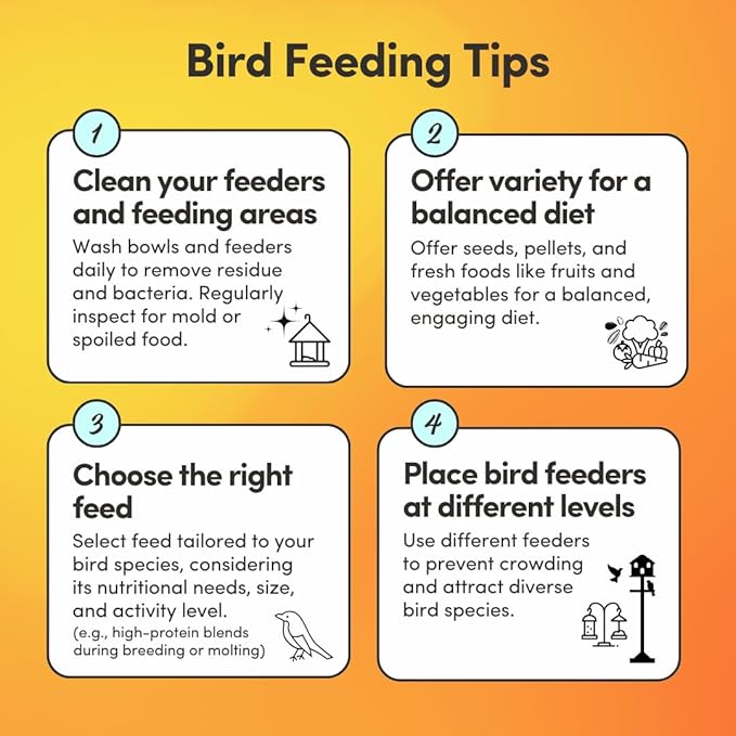 Mycelium Cockatiel Premier Bird Seed (5 LB Bag) | Organic Bird Food Fortified with Vitamins for Immunity, Energy & Digestion | Dust-Free, Daily Nutrition for Pet Birds | Non-GMO, USA Made