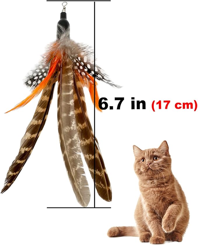 Cat Feather Toys Refills, 6 Pieces Handmade Da Bird Feathers Refill, Cat Wand Replacement Feather for Indoor Cats (B)