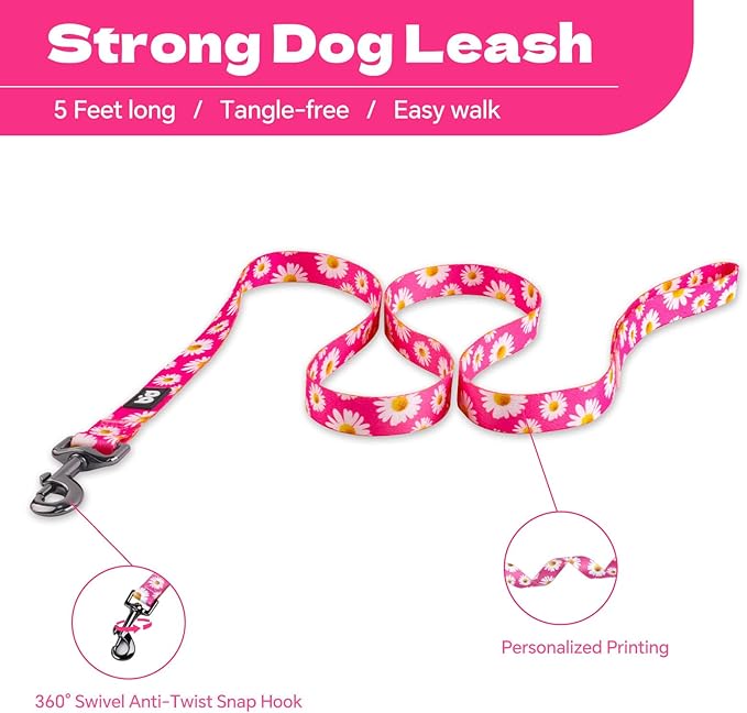QQPETS Dog Harness Leash Set Adjustable Heavy Duty No Pull Halter Harnesses for Small Medium Large Breed Dogs Back Clip Anti-Twist Perfect for Walking (XS(12"-18" Chest Girth), Daisy)