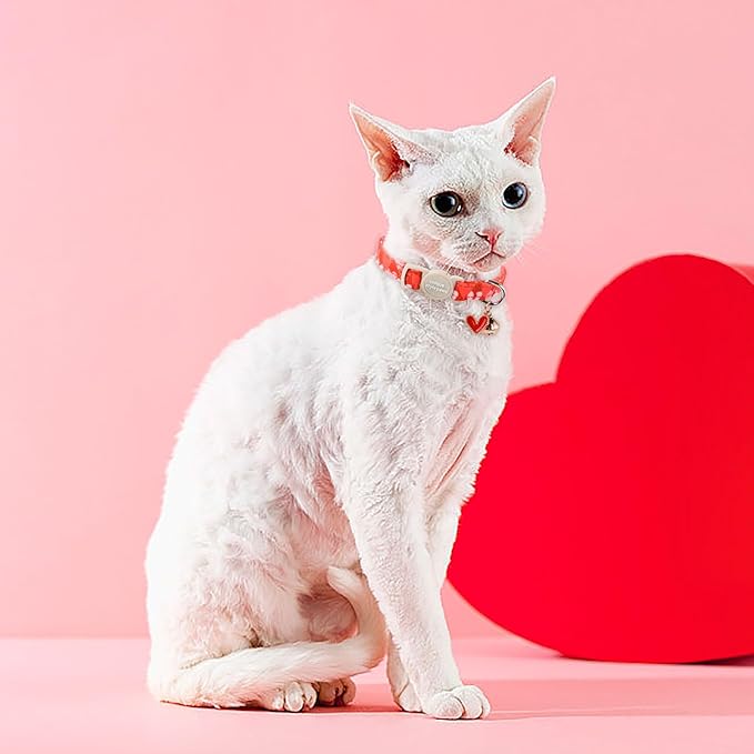 Unique style paws 2 Pack Valentine's Day Kitten Collar Breakaway with Bell&Pendant, Adjustable Safety Red Lip Rainbow Cat Cotton Collar for Girl Boy Cat and Small Pet