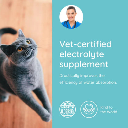 Petralyte Cat Hydration Electrolyte and Cat Joint Supplement | Hydration Support for Cats w/Glucosamine, Chondroitin, L-Glutamine, Taurine, Lysine & Prebiotics | for Chicken Lovers | 16 Packets