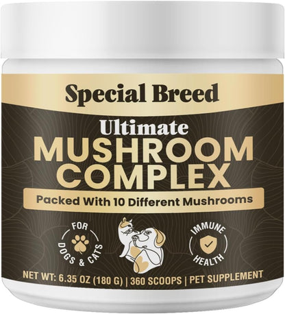 Mushroom Powder for Dogs & Cats - Organic Mushroom Complex for Immunity Support, Immune Function, Cognition, Vitality - Ten Mushroom Supplement with Turkey Tail, Lion's Mane, Reishi - 360 Scoops