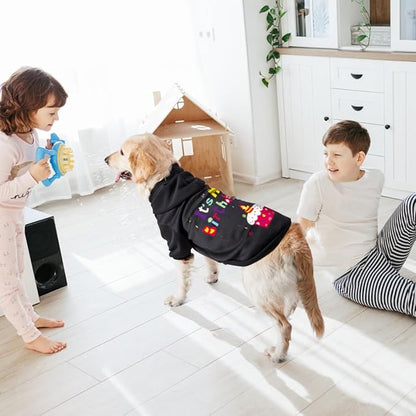 GreenJoy Dog Sweater Dog Hoodie Cold Weather Coat Hooded Sweatshirt for Puppies,Cats, Small Medium Large Dogs (Black(It's My Birthday), X-Small)