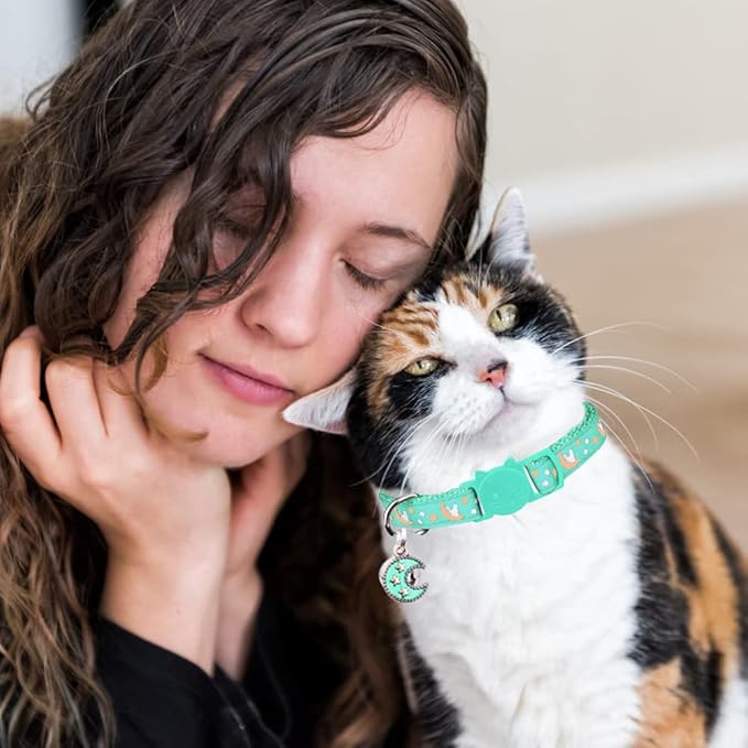 2Pcs Breakaway Cats Collars Cat Collars for Boy & Girl Cats Adjustable Kitten Collars with Bell,Pink+Teal