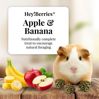 LAFEBER'S Hey!Berries for Guinea Pigs 5 oz (Natural Apple and Banana Flavoring)