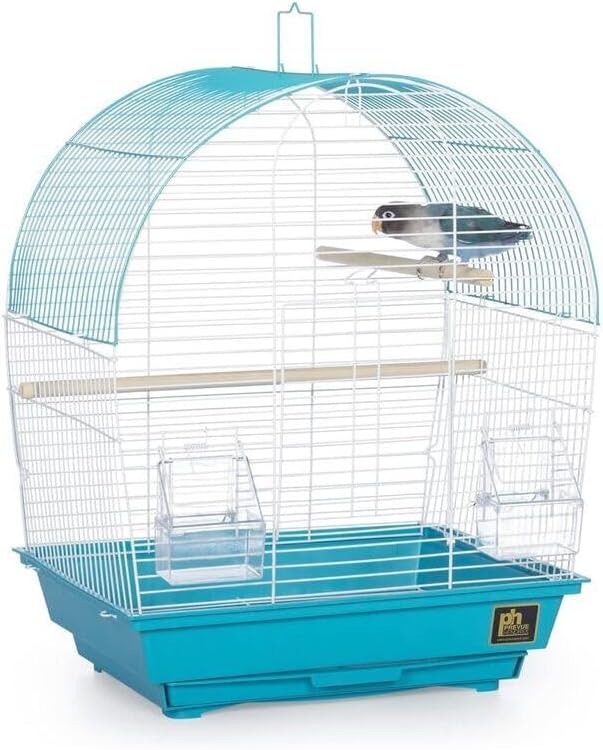 Rustic Retreat Top Bird Cage with Durable Metal Construction, Spacious Interior, and Convenient Top Access Teal/Dome Top
