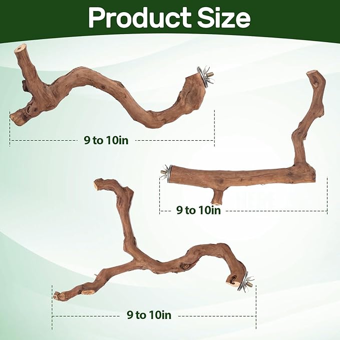 3-Piece Premium Bird Perch Stand with Natural Grape Wood Branch, Paw Grinding Fork, Chewing Stick, Cage Accessories for Parakeets, Budgies, Cockatiels, Finches, Lovebirds