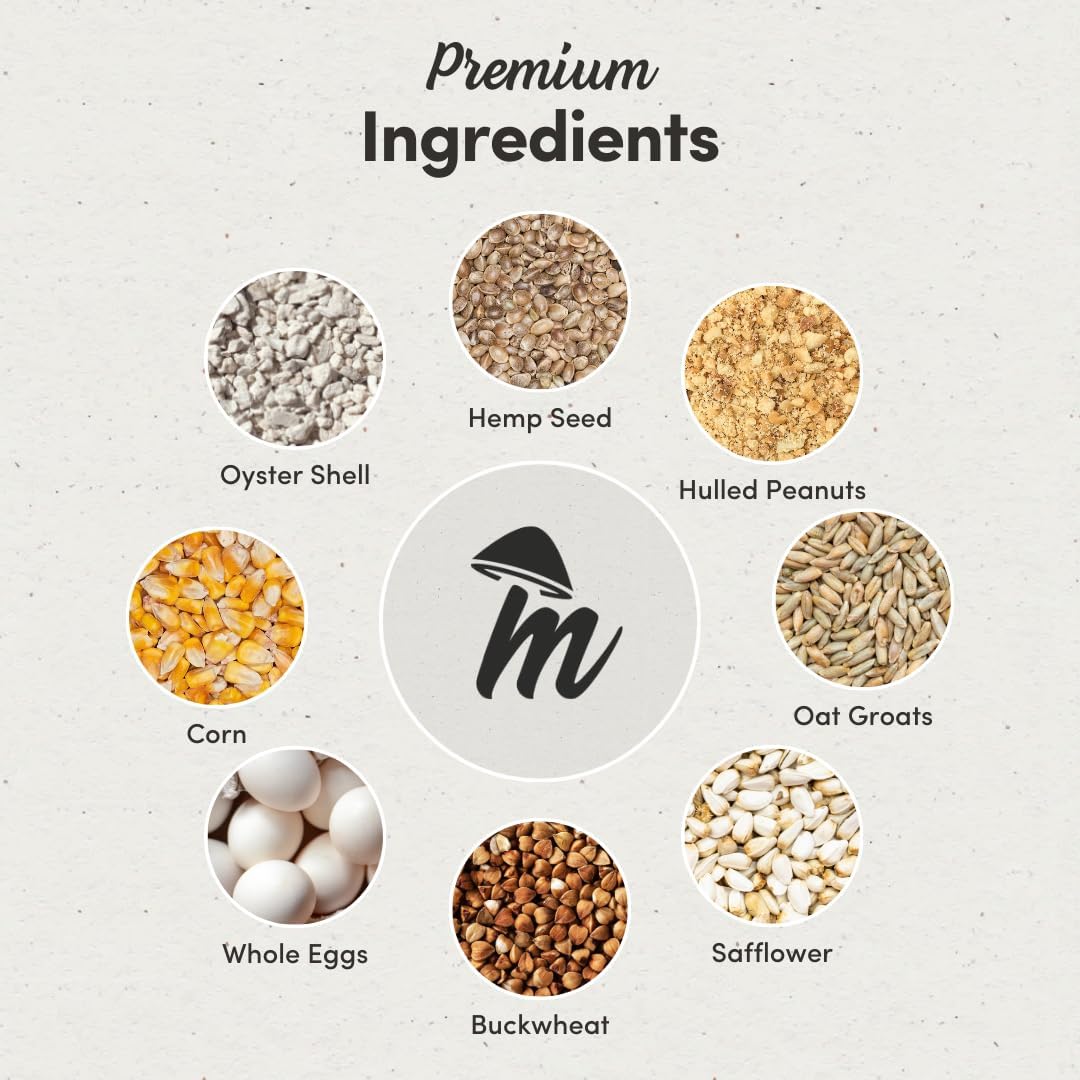 Mycelium Large Pet Bird Food | Clean & Safe Bird Seed Mix for Macaws, Cockatoos, Parrots | High in Protein & Fat with Egg, Corn, Vitamins, Peanuts & Hemp Seed | Organic & Non-GMO 5 lb Bag