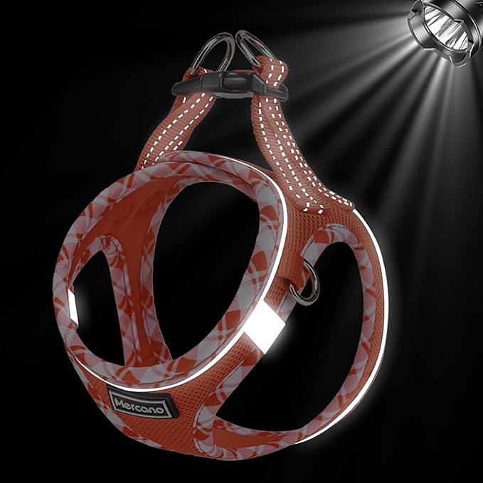 Mercano Soft Mesh Dog Harness and Leash Set, No-Chock Step-in Reflective Breathable Lightweight Easy Walk Vest Harnesses with Safety Buckle for Small Dogs, Cats (Tangerine, XL)