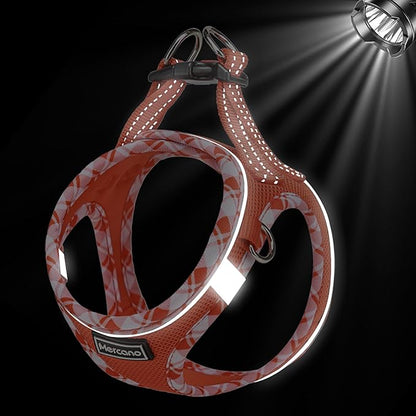 Mercano Soft Mesh Dog Harness and Leash Set, No-Chock Step-in Reflective Breathable Lightweight Easy Walk Vest Harnesses with Safety Buckle for Small Dogs, Cats (Tangerine, XXS)