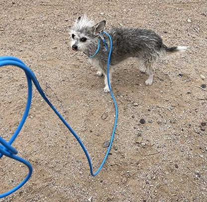 Mini Pig Harness & Leash -Adjustable- 12' in Length -Also fits Pot Bellied Pigs and Other Animals - Ferrets, Rabbits, Dogs, Cats (Blue)