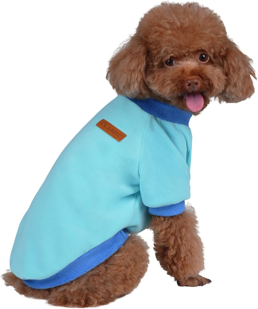 GreenJoy Classic Fleece Dog Sweater – Soft & Warm Stretchy Sweatshirt for Small Dogs & Cats, Cold-Weather Pullover for Everyday Wear (Light Blue, Small)