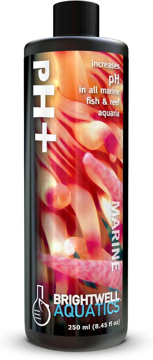 Brightwell Aquatics pH+ Alkalinity and pH Booster for Marine & Reef Aquariums Increases pH and KH Stability for Coral Growth and Enhances Carbonate Levels, 250 ml