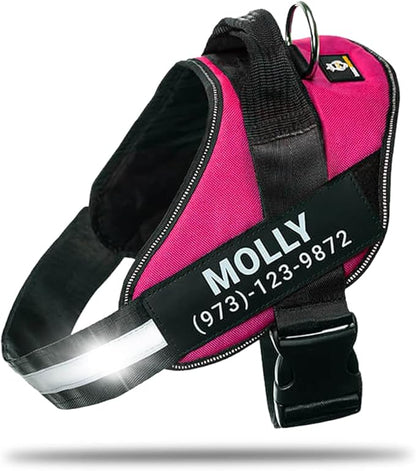 Personalized No-Pull Dog Harness with Name Patch, Adjustable, Reflective, Padded, Heavy Duty Pet Vest to Prevent Tugging, Pulling, or Choking, Training and Walking, Rose Red, XL