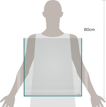 LANDEN 31 Gallon Cube Rimless Low Iron Aquarium Fish Tank,19.7" L × 19.7" W × 19.7" H (50cm x 50cm x50cm) 6mm Thickness with Nano Foam Leveling Mat Included