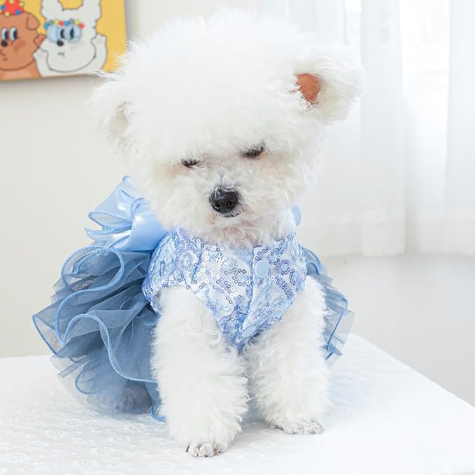 ANIAC Blue Cat Wedding Dress with Bow Knot Dog Wedding Outfit Formal Puppy Clothes for Girl Small Dog Luxury Pet Party Dress for Kitten Chihuahua Yorkie Pomeranian (Blue-2, X-Small)