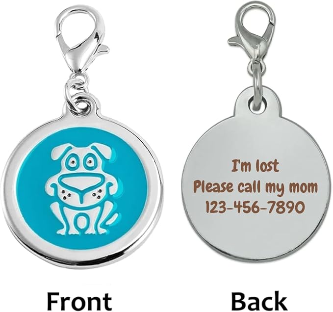 Personalized Funky Dog Design Pet ID Tags with Quick Tag Clip - Happy Puppy Name tag, Custom Laser Engraved pet Tags, Collar Name tag (Dog-Round-Small: Blue)