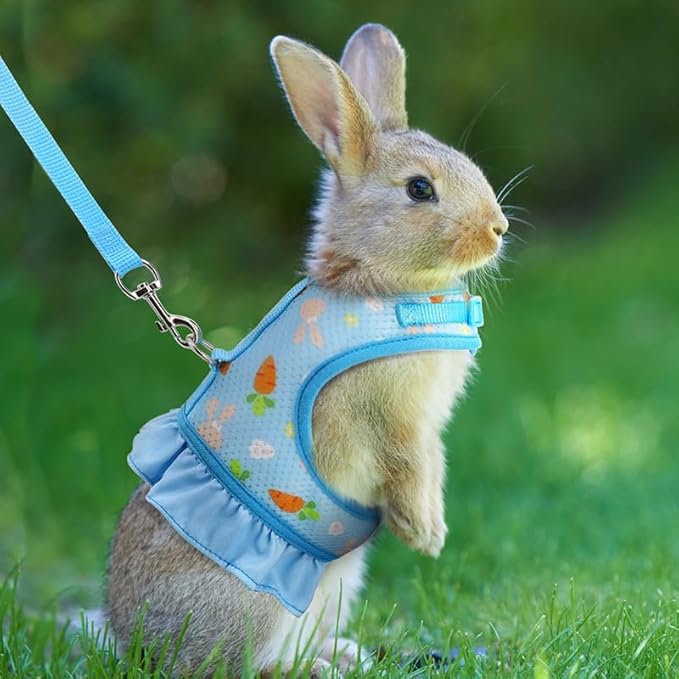 Bunny Harness and Leash,Proof Walking Escape Cute Floral Mesh Vest Breathable Rabbit Clothes for Bunnies, Hiking, Training for Ferret Kitten Puppy Small Pet Harness Blue M