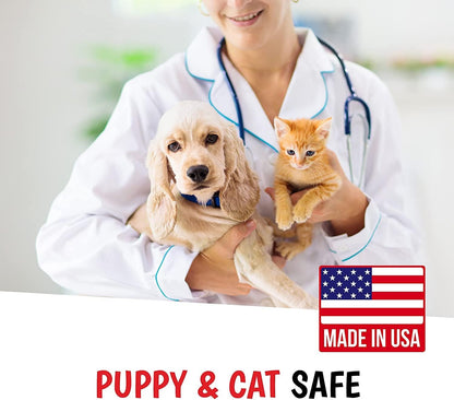 Warren London 10-in-1 After Bath Dog Spray | Dog Leave in Conditioner and Detangler | Pet Grooming Spray with Aloe Vera, Silk Amino Acids and Green Tea Extract | Made in USA | 1gal