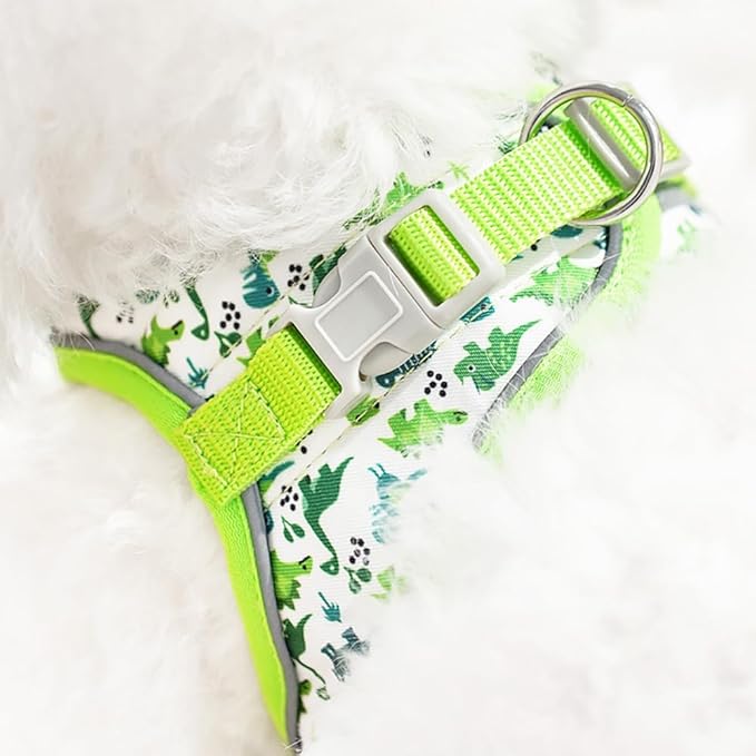 Step in Dog Harness and Leash Set, Flower Adjustable Easy Walk Puppy Harnesses, Soft Mesh Pet Vest Harness Small Size Dog Adjustable No Pull Dog Harness for Small Dogs and Cats(Dinosaur, XXS)