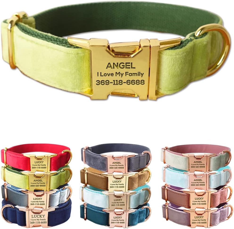 PETDURO Custom Dog Collar Personalized with Name Engraved Quick Release Rose Gold Metal Buckle for Large Medium Small Girl Dogs - Dog Leash and Bow Tie Available - Soft Comfy Velvet (Mint Green, S)