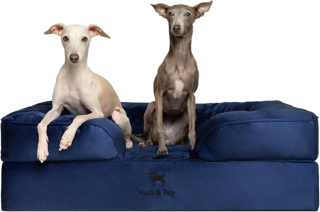 NOAH & PAW Large Dog Bed, 35x25x11 Inch, Orthopedic Dog Beds, Eggshell Memory Foam Infused with Cooling Gel, Inner Cover, Waterproof, Machine Washable (Velvet Sofa Collection)