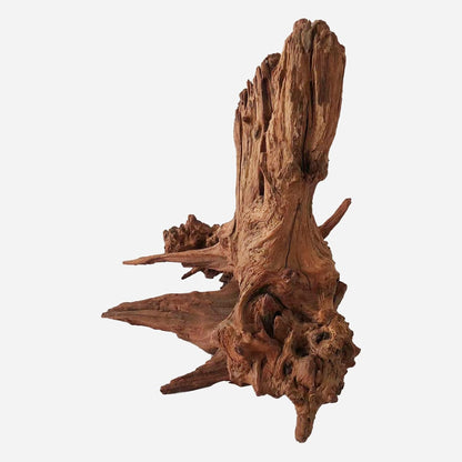 LYPHARD AQUARIUMS Natural Driftwood for Aquarium Decor, L12.99×W12.6×H13.39 Inches Large Drift Wood Decorations for Reptile Hide, Fish Tank, Optional Shapes