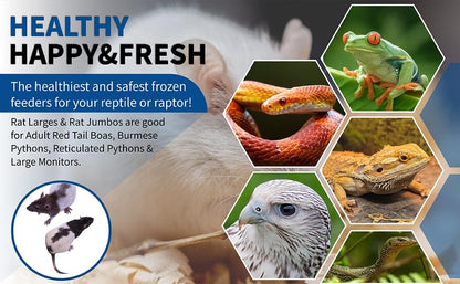 MiceDirect Premium Frozen Rat Combo 14 Pack of 7 Larges and 7 Rat Jumbo Feeders Snake Food (9-11 in)(Pack of 14)(3150 Grams Min)