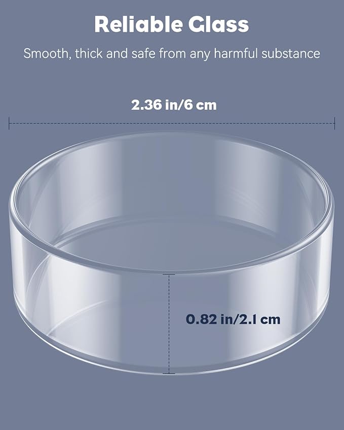 Pawfly 3 Pcs Shrimp Feeding Dish, Clear Glass Aquarium Shrimp Feeder, Transparent Food Tray for Fish Tanks and Terrariums