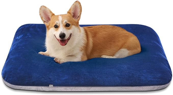 Magic Dog Super Soft Medium Dog Bed, 32 Inches Orthopedic Foam Pet Beds with Anti Slip Bottom, Dog Sleeping Mattress with Removable and Washable Cover, Blue M,32'' X 24'' X 3''